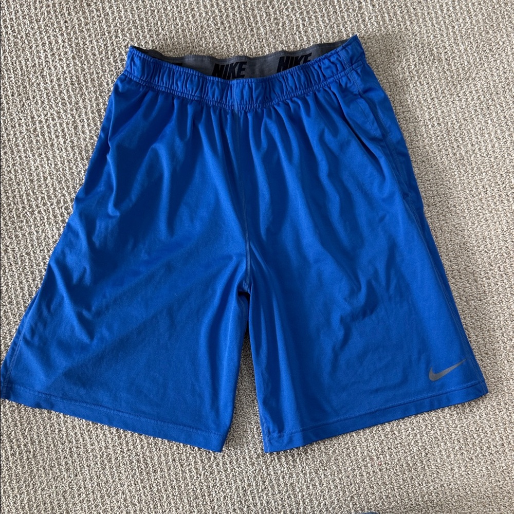 Nike Men's Royal Blue Shorts